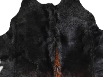 Black and White Cowhide Rug A28928 3D model