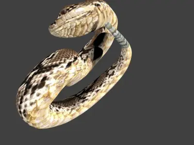 lowpoly snake python Low-poly 3D model