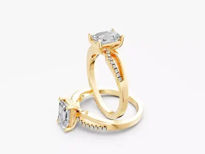 ZABS0014 EM engagement 3D print model