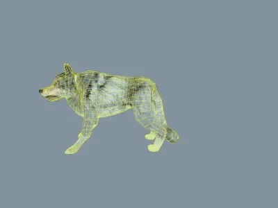 Wolf - low-poly model Free low-poly 3D model 3D model
