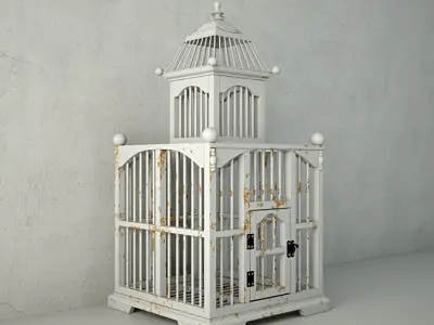 White Decorative Cage by ZARA HOME 3D model