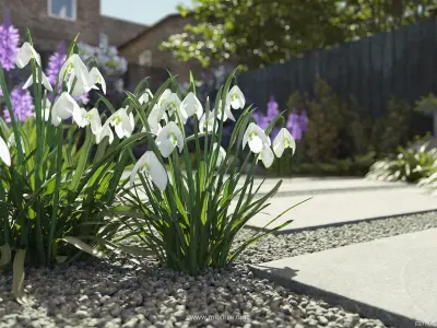 Maxtree Plant Models Vol 84 - Mesh 3D model