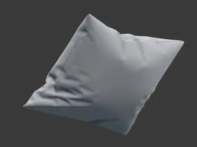 Floral Pillow 2 3D model