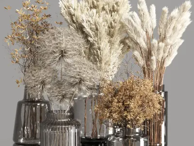 Plant and Dry  Bouquet Collection  Dried autumn plants