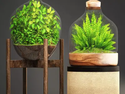 Florarium terrarium in glass bottle 3D model