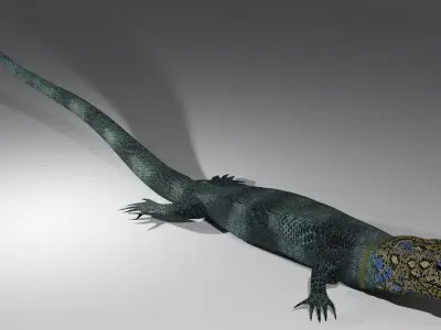 Agama Lizard Low-poly 3D model