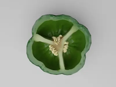 Bell Pepper Low Poly realistic 3d model for game Low-poly 3D model