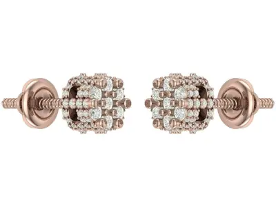 Earring 3D print model order