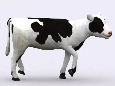 3DRT - Calf  Low-poly 3D model