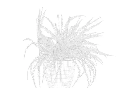 Fern in white pot 3D model purchase