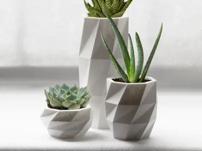 Geometric Planters - Type 1 and 2  3D print model