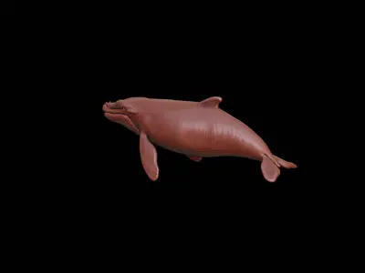 Whale Animal Sculpture 3D print model