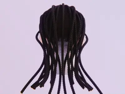 Long Dreads 3 - Braided Low-poly 3D model