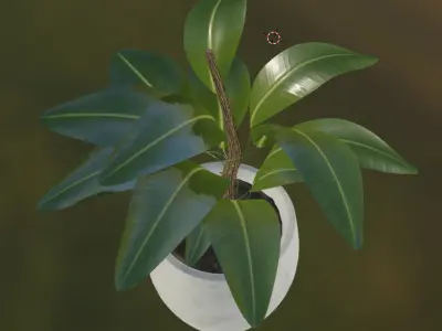 Maceta con planta Ficus 3D 3D model