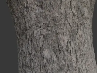 Realistic 3D Scanned Wide Tree Trunk  Low-poly 3D model