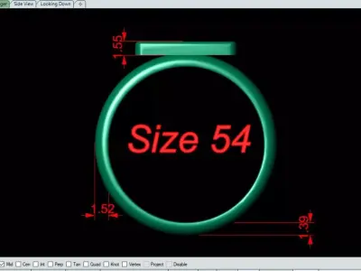 The most special Sun design ring 2 3D print model