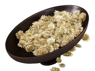 Decorative set with Audo Pavot vase and dried flowers 3D model