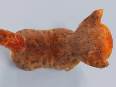 Fur Cute Cat kitten Red No Rig Low-poly 3D model