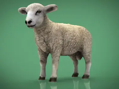SHEEP Low-poly 3D model