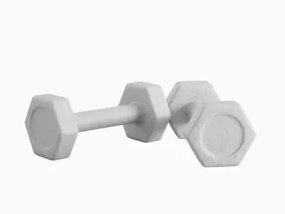 Small Rubber Dumbbell 02  3D model