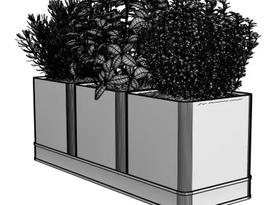 Flower pots with herbs 3D model