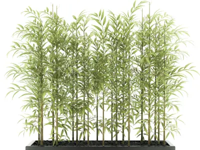 bamboo plant 3D model