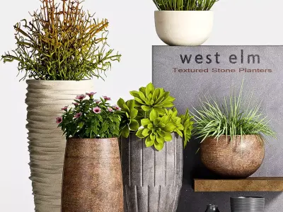 Decorative plant set-57 3D model