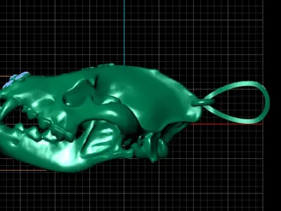 HYENA FACE SKULL PENDANT 3D PRITNABLE MODEL  3D print model