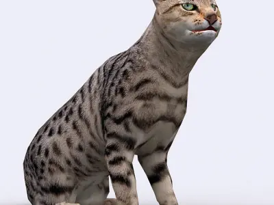 3DRT - Cat Low-poly 3D model