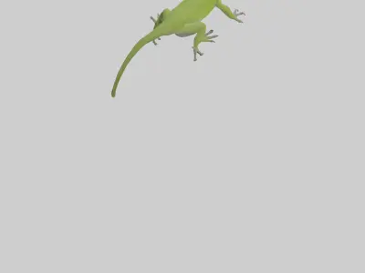 Carolina Anole climbing model Low-poly 3D model