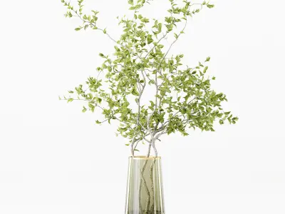 Collection Indoor Plants 016 3D model