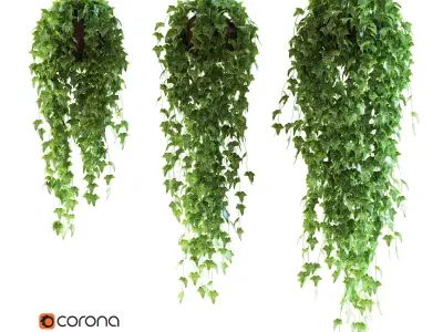 Set of 3 models Ivy in pots hanging on a chain 3D model
