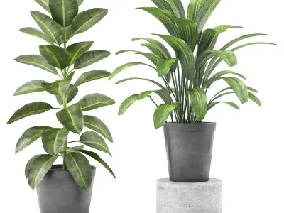 indoor and outdoor plant set   3D model