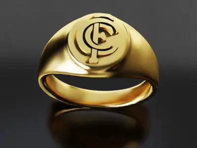 Carlton Australia Football Fans 3D print model 3D print model