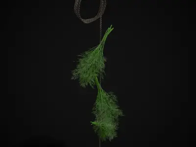 Hanging Dills Low-poly 3D model