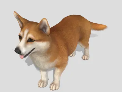 Dog - Corgi Low-poly 3D model