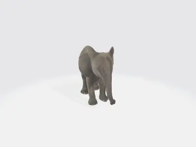 Elephant Low-poly 3D model