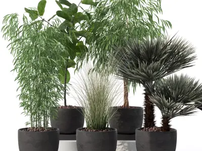 Plants collection 142 3D model