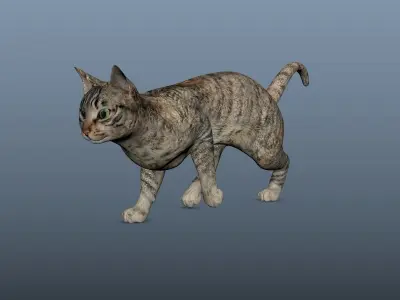 Cat - Rigged Animated Low-poly 3D model
