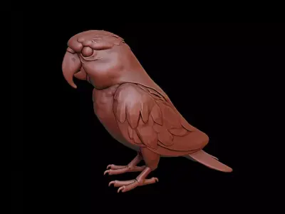 Parrot Animal Sculpture 3D print model get