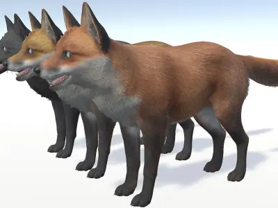 Fox - Male Low-poly 3D model