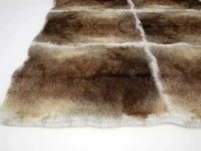 Deerskin Rug 3D model