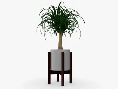 Beaucarnea Pot Low-poly 3D model
