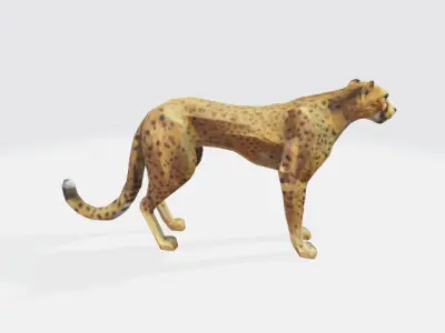 Lowpoly cheetah Low-poly 3D model