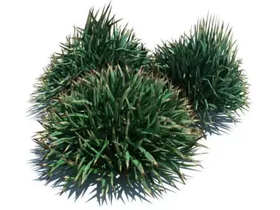 Round Decorative Grass 3D model
