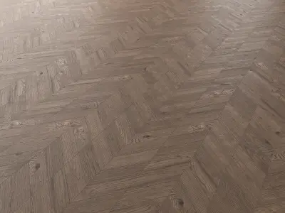 Parquet Oak Missisippi Wild Wood set 1 3D model