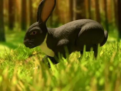 Reallistic Animated Rabbit Low-poly 3D model
