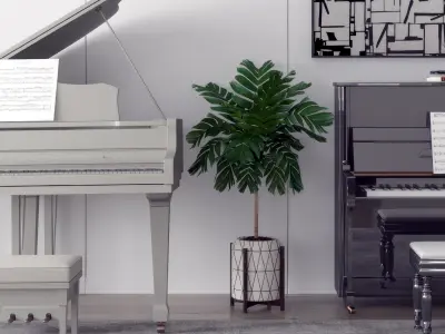 monomer equipment piano decoration Equipment 3D model