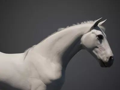 White Horse Animated 3D model