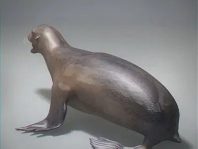 Rigged Seal 3D model
